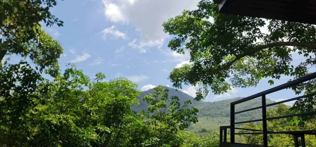 วิวภูเขาตอนกลางวันจากระเบียงกระท่อม